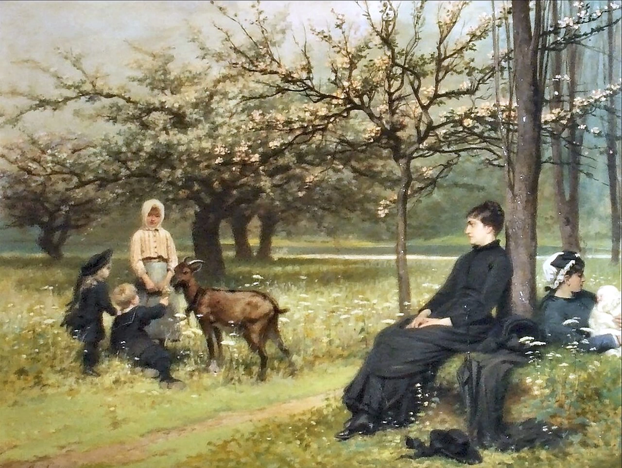 La vedova